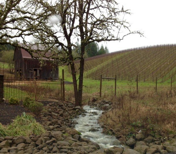 Go wine tasting in the beautiful Pacific Northwest Oregon and SW Washington with Wine Dirt Tours Go wine tasting in the beautiful Pacific Northwest Oregon and SW Washington with Wine Dirt Tours